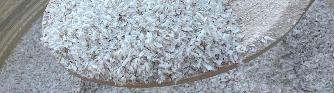 grains de psyllium